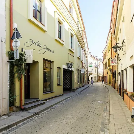 Old Town Antokolskio Apartman Vilnius