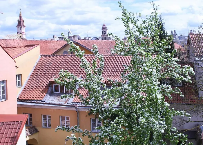 Old Town Antokolskio *