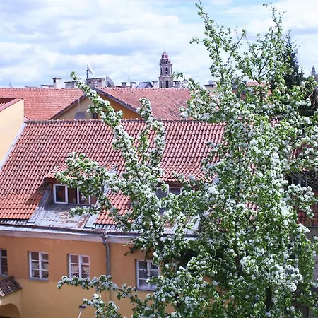Old Town Antokolskio *